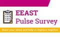 Pulse survey graphic