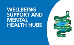 Wellbeing and mental health hubs