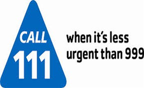 111 logo