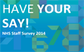 Staff survey logo